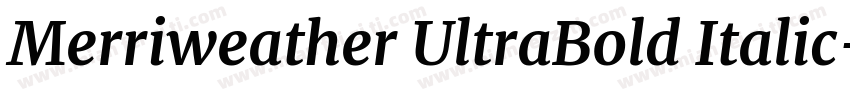 Merriweather UltraBold Italic字体转换